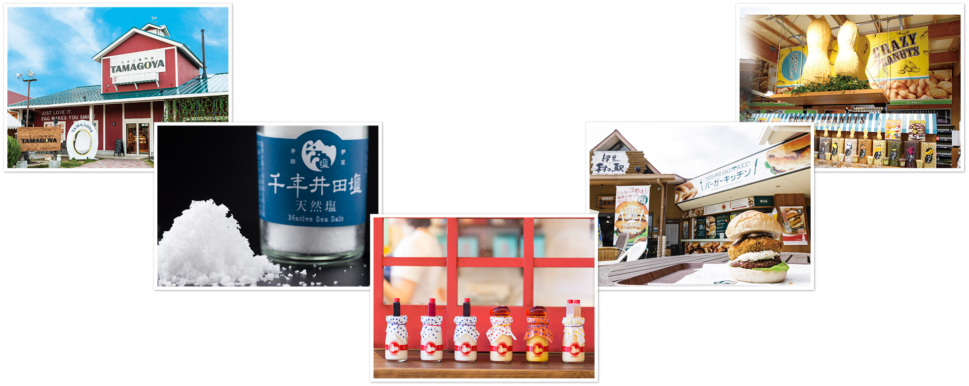 私たちの考える「観光」とは