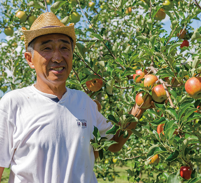農業経営強化支援