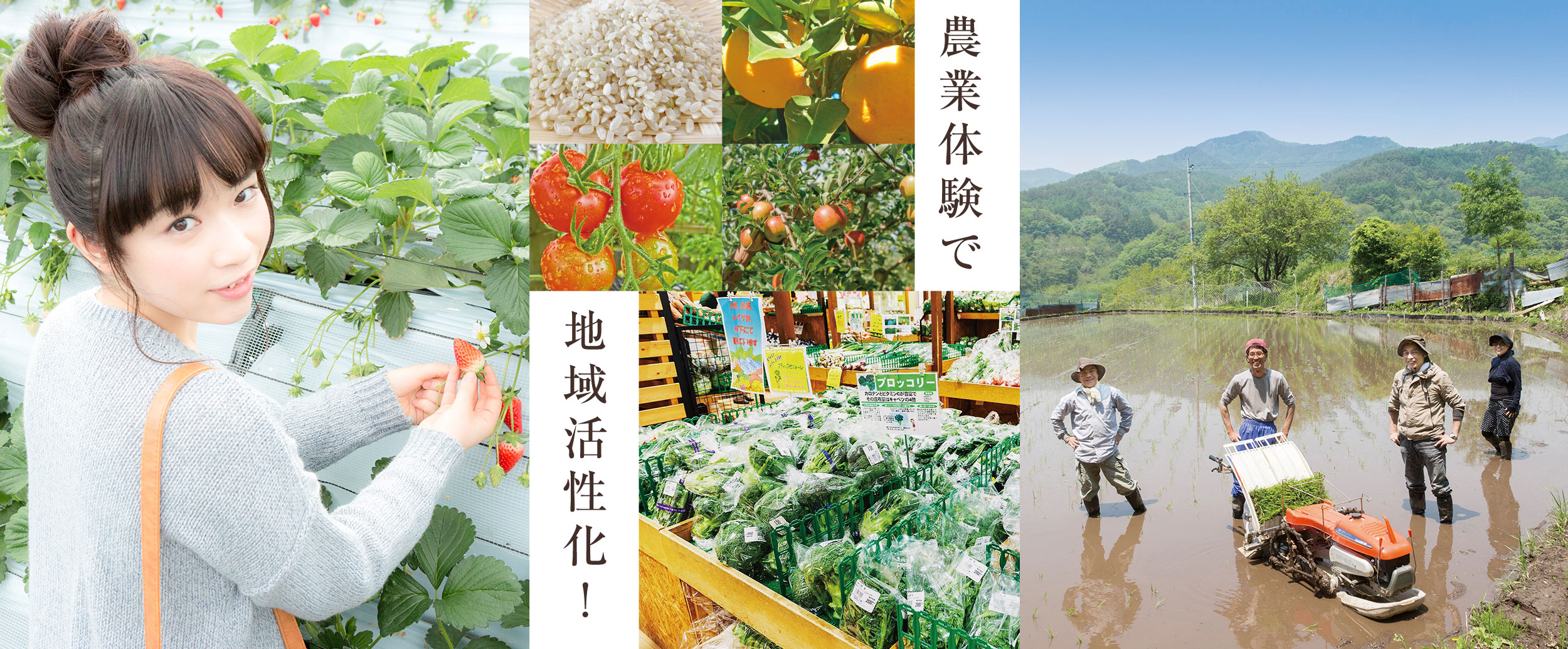農業体験で地域活性化!